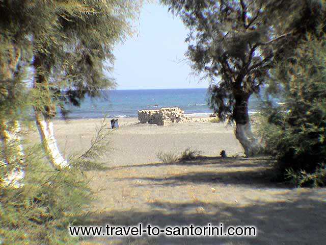 VIEW OF THE BEACH - View of Monolithos beach with the pine trees on the beach