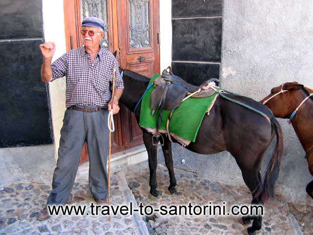 Waiting for a ride - A mule owners waiting for a ride