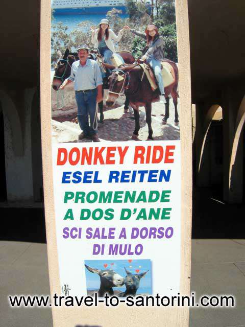 Donkey ride ad - 