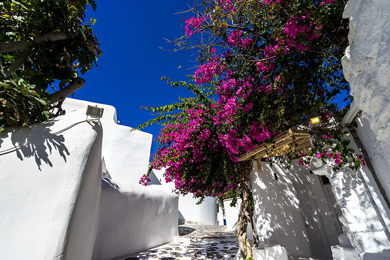 Petra Kouzina  VARIOUS IN  Megalochori, Santorini