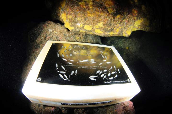 On August 20 the son of the famous French oceanographer Jacques-Yves Cousteau, Pierre-Yves Cousteau, dived into the sea of Santorini and placed in a cave at a depth of seven meters a plaque in memory of his father. The memorial plaque was immersed today at 11:30 in Santorini, Greece in a cave at 7m ...