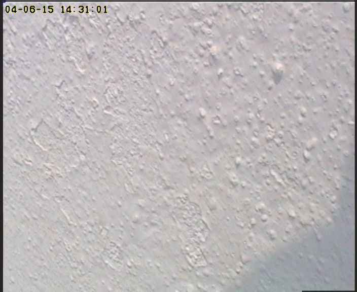 Dettagli webcam Santorini