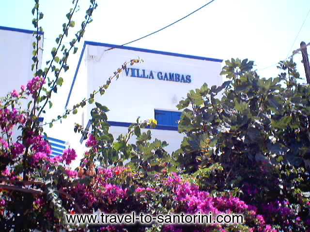 VILLA GAMBAS